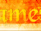 COPYRIGHT © 2009 - 2010 WWW.SERETHAANDJAMES.COM